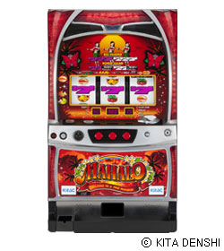 マハロ30の筐体